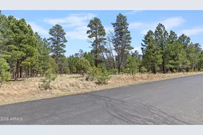 1755 Sugar Pine Drive #232, Happy Jack, AZ 86024 - Photo 6