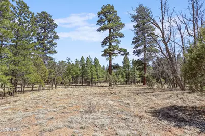 1755 Sugar Pine Drive #232, Happy Jack, AZ 86024 - Photo 4