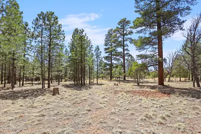 1755 Sugar Pine Drive #232, Happy Jack, AZ 86024 - Photo 1