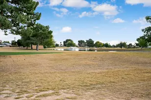 11421 N 110th Dr, Sun City, AZ 85351 - Photo 42