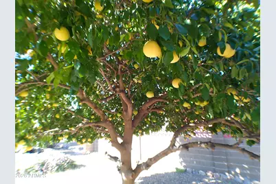 234 W Morris Drive, Queen Valley, AZ 85118 - Photo 22