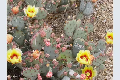 4303 E Cactus Road #419, Phoenix, AZ 85032 - Photo 12