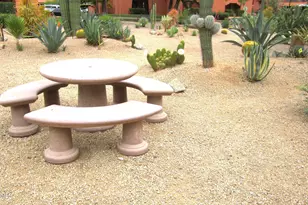 4303 E Cactus Rd, Phoenix, AZ 85032 - Photo 32