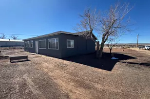 10 County Road N6011 --, Saint Johns, AZ 85936 - Photo 2