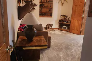 1038 E Friar Ave, Apache Junction, AZ 85119 - Photo 12