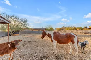 38024 N 15th Ave, Phoenix, AZ 85086 - Photo 6