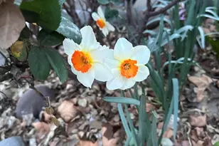 4190 E Sparkling Ln, Camp Verde, AZ 86322 - Photo 24