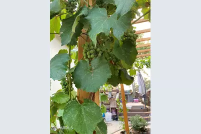 4190 E Sparkling Lane, Camp Verde, AZ 86322 - Photo 24