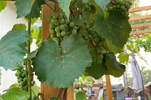 4190 E Sparkling Ln, Camp Verde, AZ 86322 - Photo 24