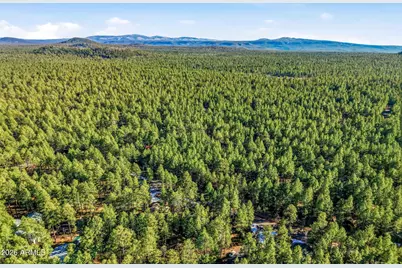 8574 East Lane, Pinetop, AZ 85935 - Photo 42