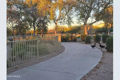 2494 N Petersburg Drive, Florence, AZ 85132 - Photo 38