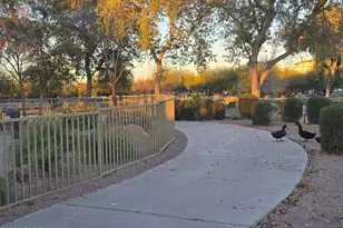 2494 N Petersburg Dr, Florence, AZ 85132 - Photo 38