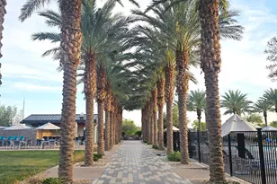 9903 E Tillman Ave, Mesa, AZ 85212 - Photo 30