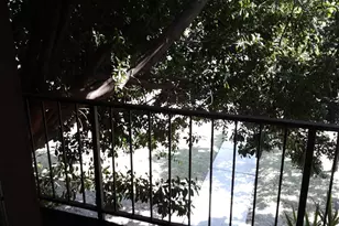 1302 E Maryland Ave, Phoenix, AZ 85014 - Photo 22