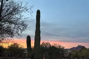 7134 E Sandia St, Mesa, AZ 85207 - Photo 22