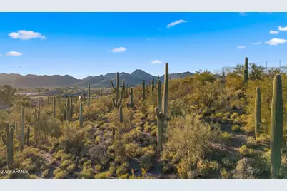 6562 E Cave Creek Road, Cave Creek, AZ 85331 - Photo 98