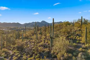6562 E Cave Creek Rd, Cave Creek, AZ 85331 - Photo 98