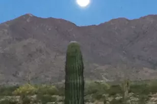 8424 N 194th Dr, Waddell, AZ 85355 - Photo 70