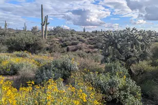 9706 E Chuckwagon Ln, Scottsdale, AZ 85262 - Photo 54