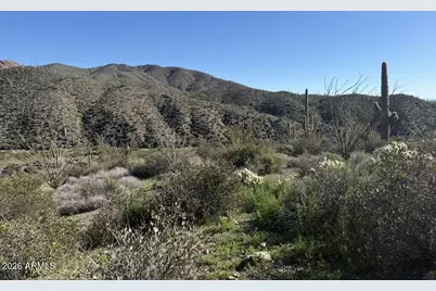 43252 N Chiricahua Pass Pass #347, Scottsdale, AZ 85262 - Photo 8