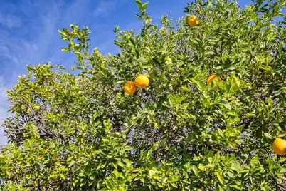 13829 W Oak Glen Drive, Sun City West, AZ 85375 - Photo 26