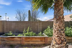 6629 E Menlo St, Mesa, AZ 85215 - Photo 44