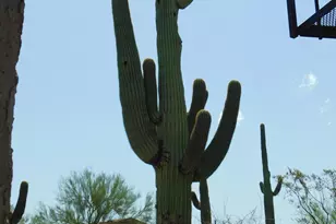 2030 N Don Peralta Rd, Apache Junction, AZ 85119 - Photo 22
