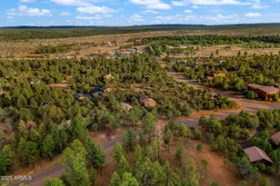 2781 Air Park Dr, Overgaard, AZ 85933 - Photo 40