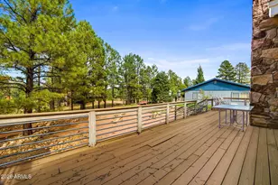 1955 Twin Pines Trail, Overgaard, AZ 85933 - Photo 4