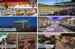 10258 N 103rd Pl, Scottsdale, AZ 85258 - Photo 84