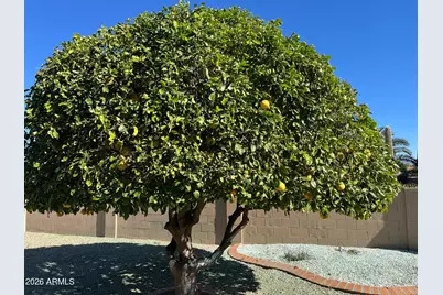 9917 E Donegal Court, Sun Lakes, AZ 85248 - Photo 30