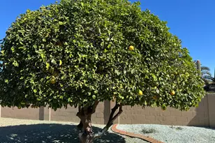 9917 E Donegal Ct, Sun Lakes, AZ 85248 - Photo 30