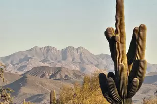 32Xxx N 162nd St, Scottsdale, AZ 85262 - Photo 1