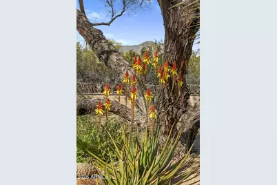 34068 N 79th Way, Scottsdale, AZ 85266 - Photo 100