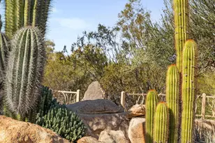 34068 N 79th Way, Scottsdale, AZ 85266 - Photo 104