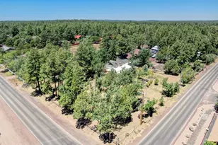 2616 Rainbow Lake Dr, Lakeside, AZ 85929 - Photo 32