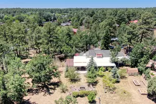 2616 Rainbow Lake Dr, Lakeside, AZ 85929 - Photo 34