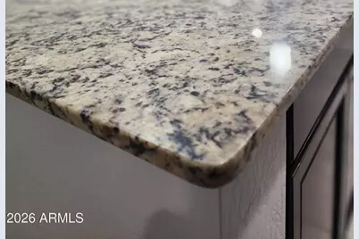 9836 W Atlantis Way, Tolleson, AZ 85353 - Photo 10