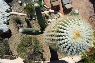 8180 E Dove Valley Rd, Scottsdale, AZ 85266 - Photo 90