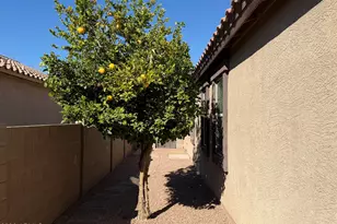 41113 W Curtis Ln, Maricopa, AZ 85138 - Photo 18