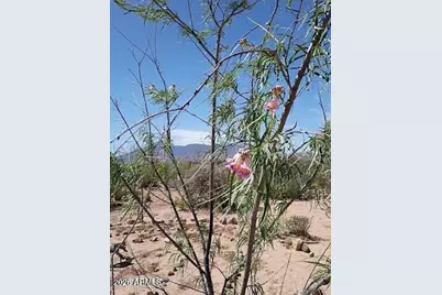 3644 W Vista Del Viejo --, Bisbee, AZ 85603 - Photo 58