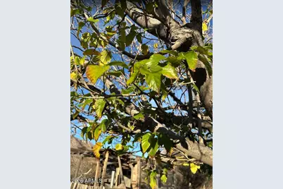 3644 W Vista Del Viejo --, Bisbee, AZ 85603 - Photo 30