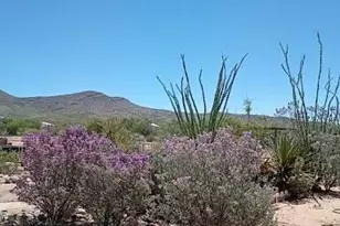 3644 W Vista Del Viejo, Bisbee, AZ 85603 - Photo 60