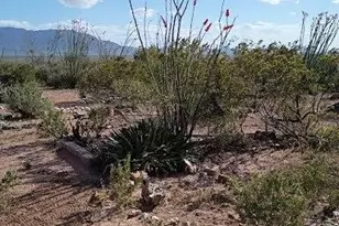 3644 W Vista Del Viejo, Bisbee, AZ 85603 - Photo 56