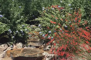 7306 E Sunset Sky Cir, Scottsdale, AZ 85266 - Photo 2