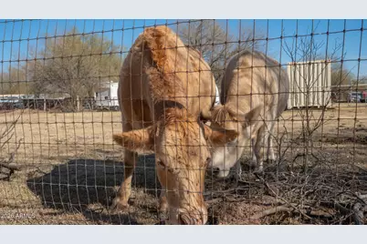 10219 W Southern Avenue, Tolleson, AZ 85353 - Photo 12