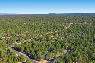 4583 Cinch Cir, Happy Jack, AZ 86024 - Photo 42