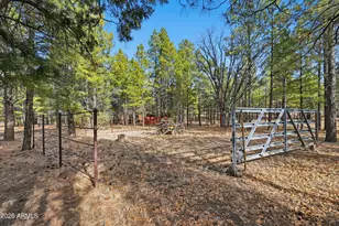 4583 Cinch Cir, Happy Jack, AZ 86024 - Photo 30