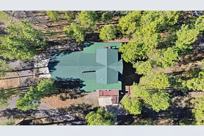 4583 Cinch Circle, Happy Jack, AZ 86024 - Photo 40