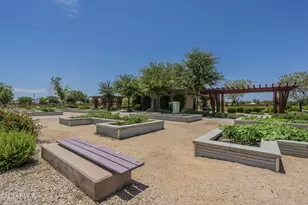 22463 E Desert Spoon Dr, Queen Creek, AZ 85142 - Photo 40